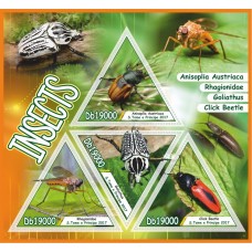 Fauna Insects